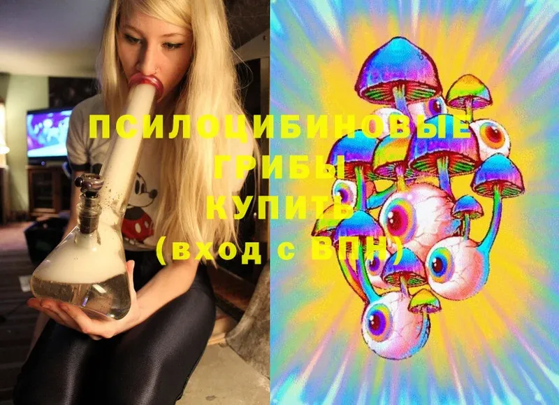 Псилоцибиновые грибы Psilocybe Красноуральск